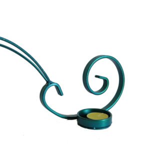 Snail