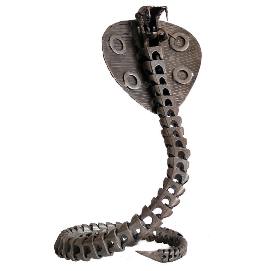 COBRA