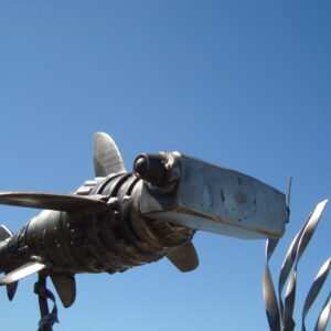 Shark