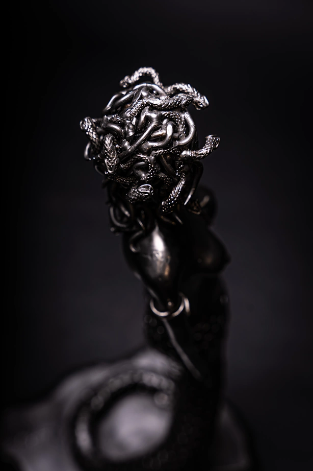 Medusa - Image 4
