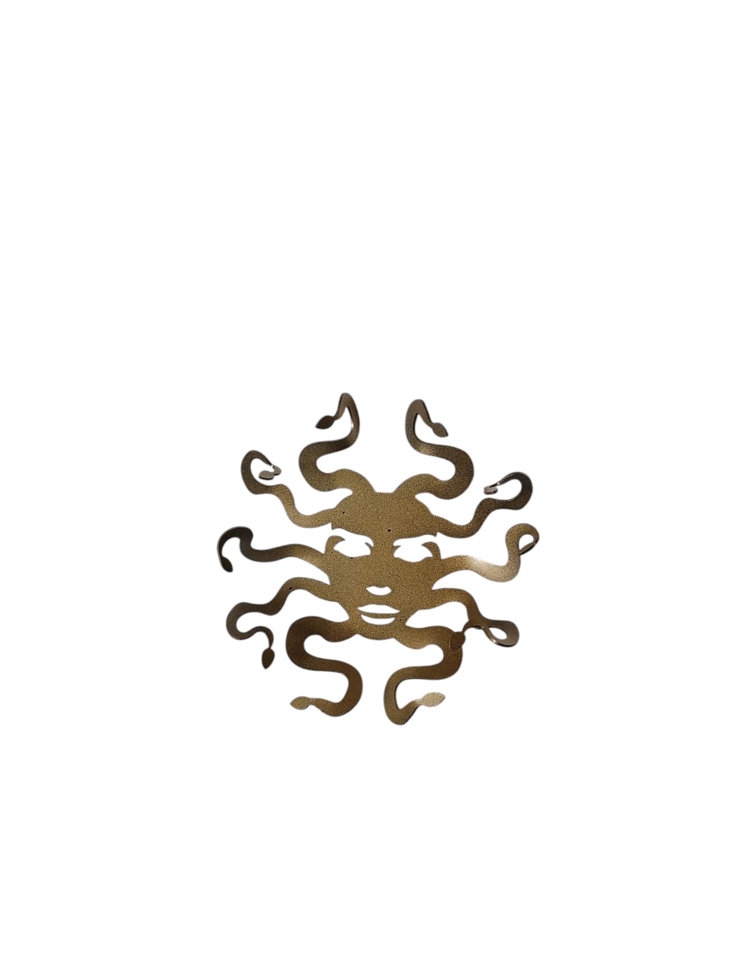 Medusa decorative item for wall