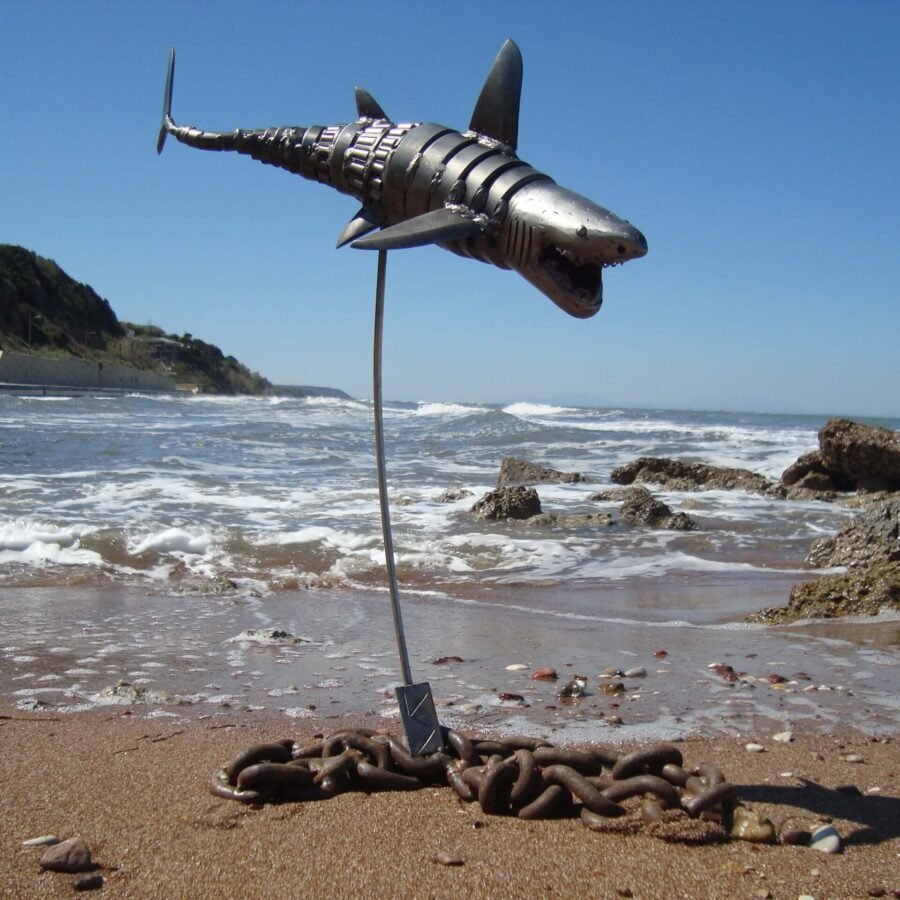 Shark