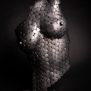 Torso