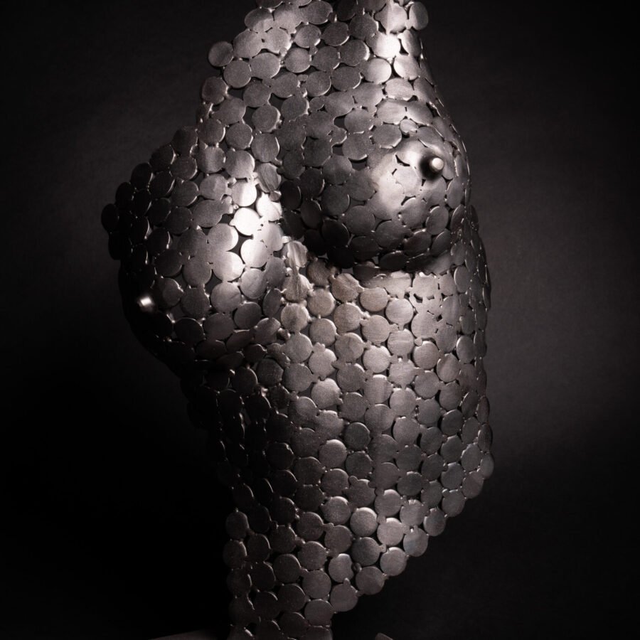 Torso